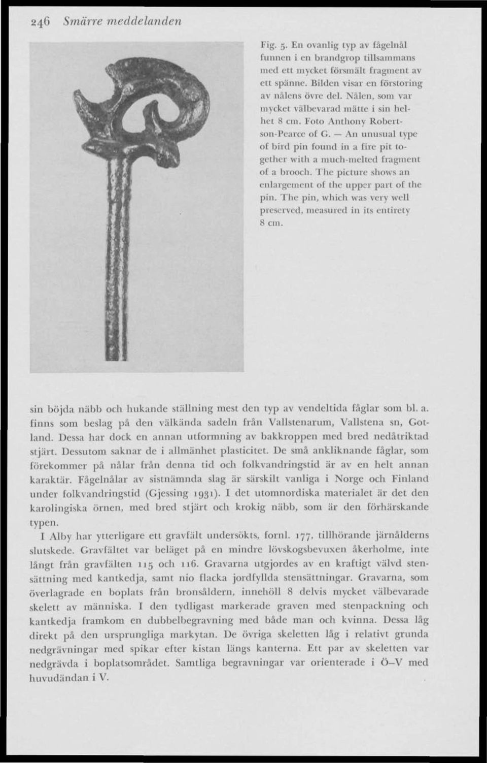The picture shows an enlargement ot the upper part ot the pin. The pin, which was very well preserved, measured in its cntirety 8 cm.