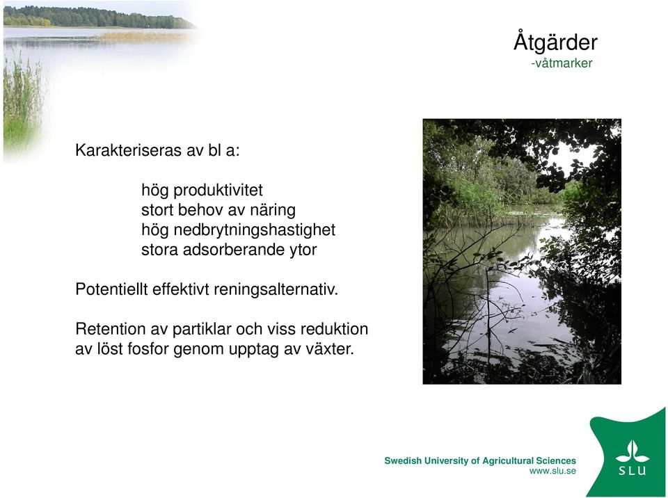 ytor Potentiellt effektivt reningsalternativ.