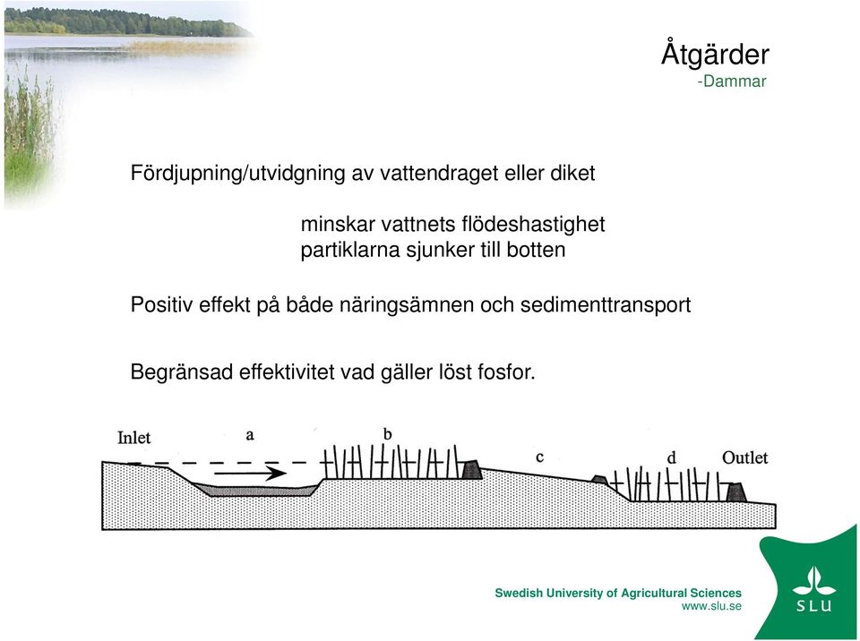 sjunker till botten Positiv effekt på både näringsämnen