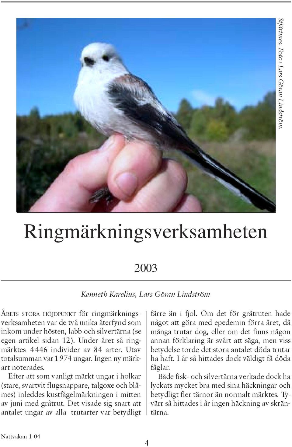 egen artikel sidan 12). Under året så ringmärktes 4446 individer av 84 arter. Utav totalsumman var 1974 ungar. Ingen ny märkart noterades.