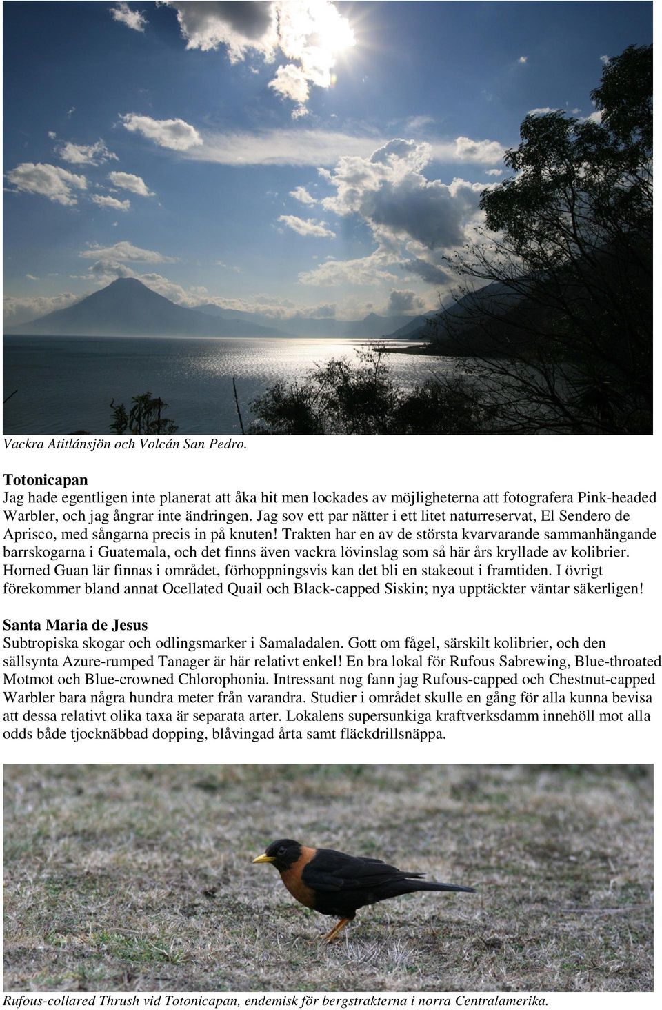 Trakten har en av de största kvarvarande sammanhängande barrskogarna i Guatemala, och det finns även vackra lövinslag som så här års kryllade av kolibrier.