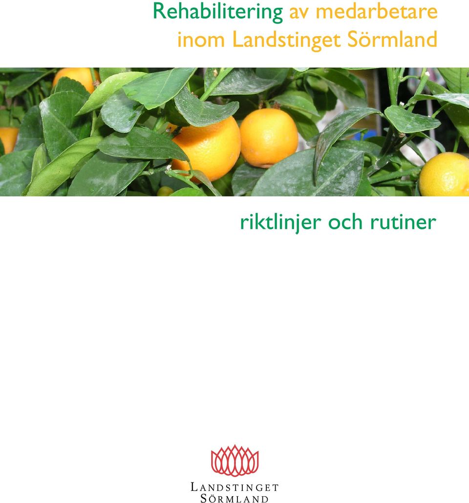 Landstinget