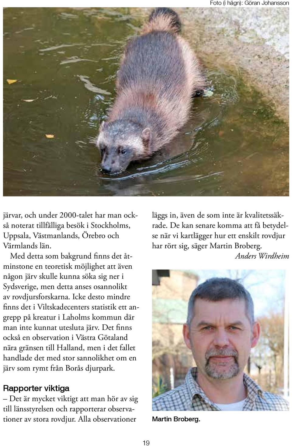 Icke desto mindre finns det i Viltskadecenters statistik ett angrepp på kreatur i Laholms kommun där man inte kunnat utesluta järv.