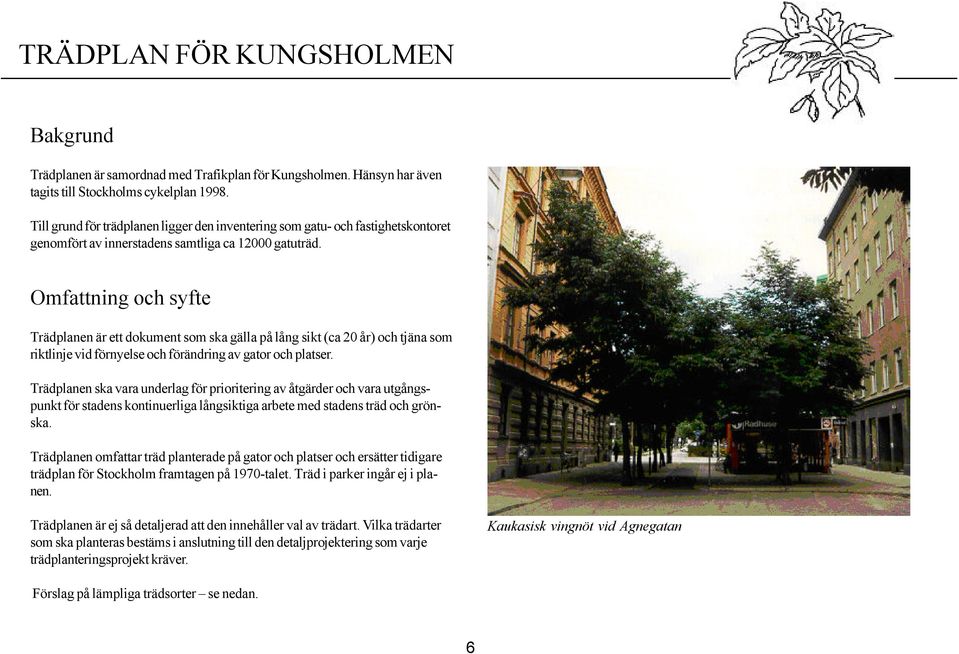 Omfattning och syfte Trädplanen är ett dokument som ska gälla på lång sikt (ca 20 år) och tjäna som riktlinje vid förnyelse och förändring av gator och platser.