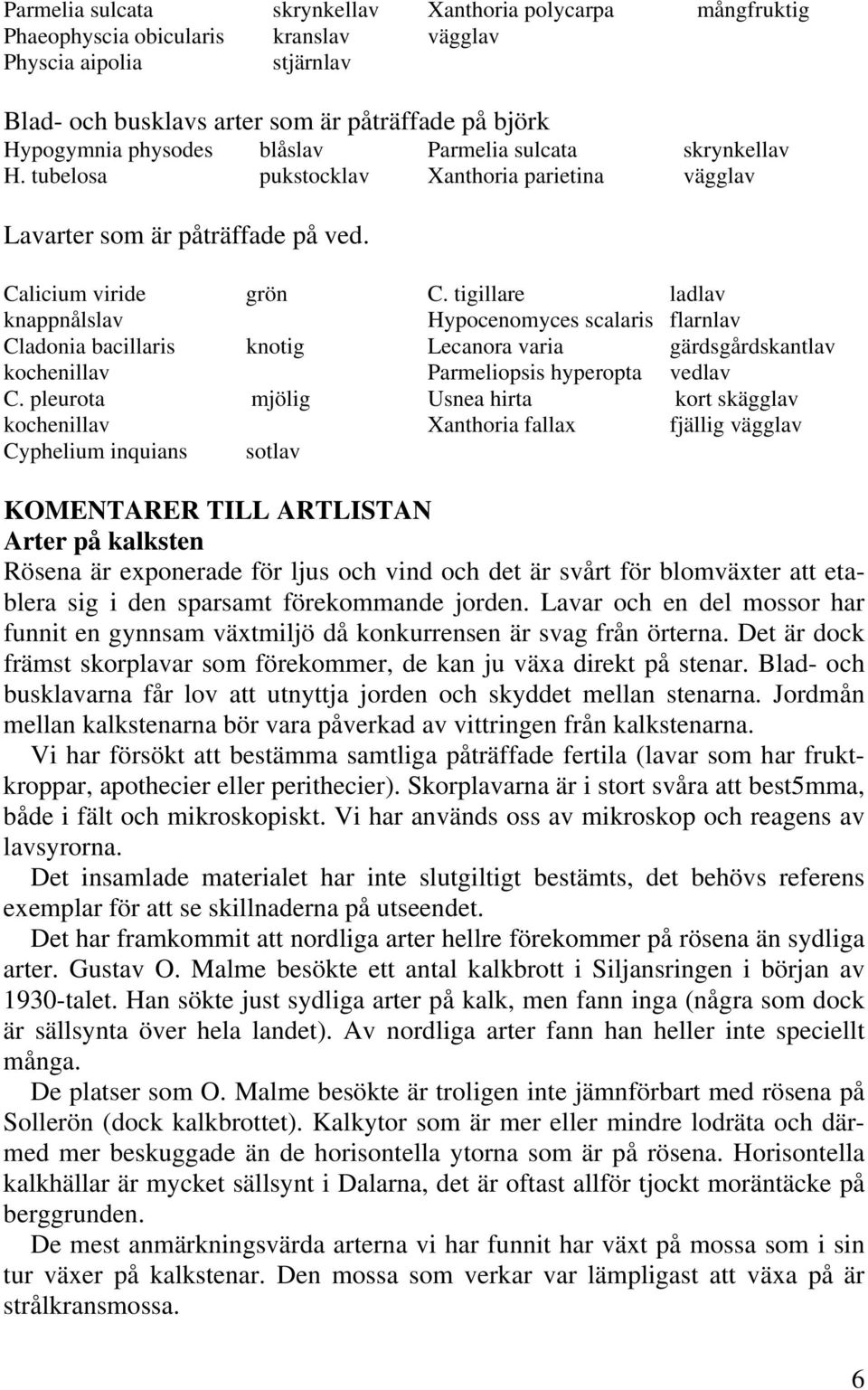 pleurota mjölig kochenillav Cyphelium inquians sotlav C.