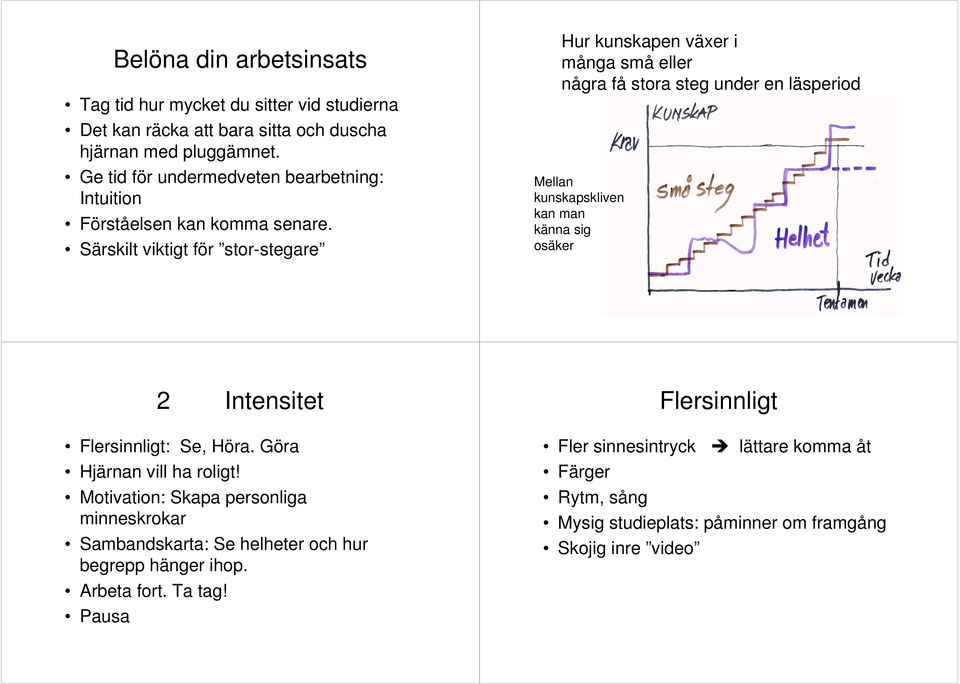 Särskilt viktigt för stor-stegare Hur kunskapen växer i många små eller några få stora steg under en läsperiod Mellan kunskapskliven kan man känna sig osäker 2 Intensitet