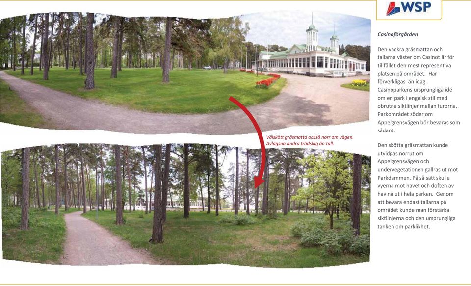 Här förverkligas än idag Casinoparkens ursprungliga idé om en park i engelsk stil med obrutna siktlinjer mellan furorna.