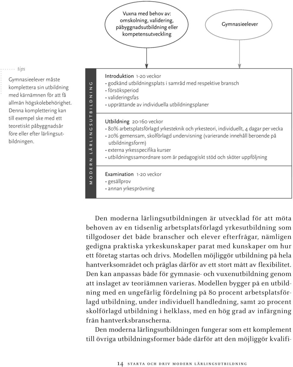 modern lärlingsutbildning Introduktion 1-20 veckor godkänd utbildningsplats i samråd med respektive bransch försöksperiod valideringsfas upprättande av individuella utbildningsplaner Utbildning