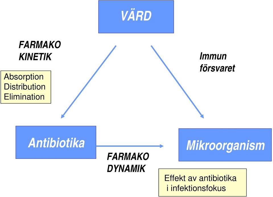 Immunförsvaret Antibiotika FARMAKO-