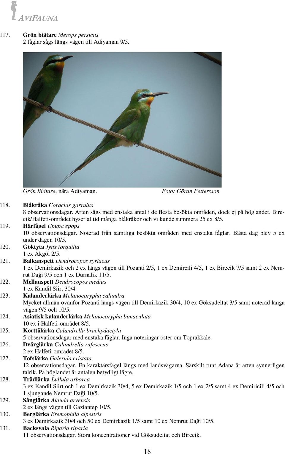 Härfågel Upupa epops 10 observationsdagar. Noterad från samtliga besökta områden med enstaka fåglar. Bästa dag blev 5 ex under dagen 10/5. 120. Göktyta Jynx torquilla 1 ex Akgöl 2/5. 121.