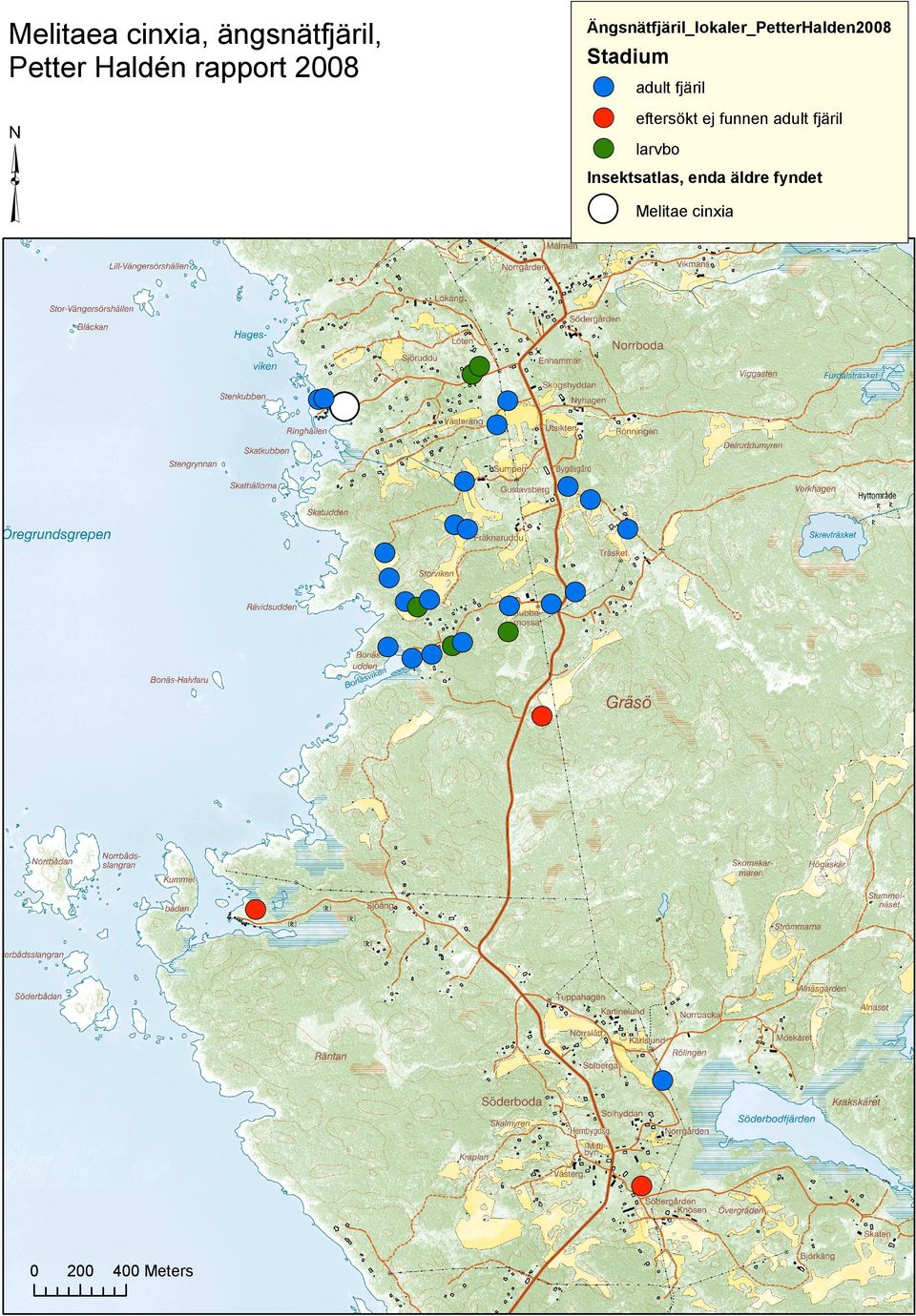 adult fjäril eftersökt ej funnen adult fjäril larvbo