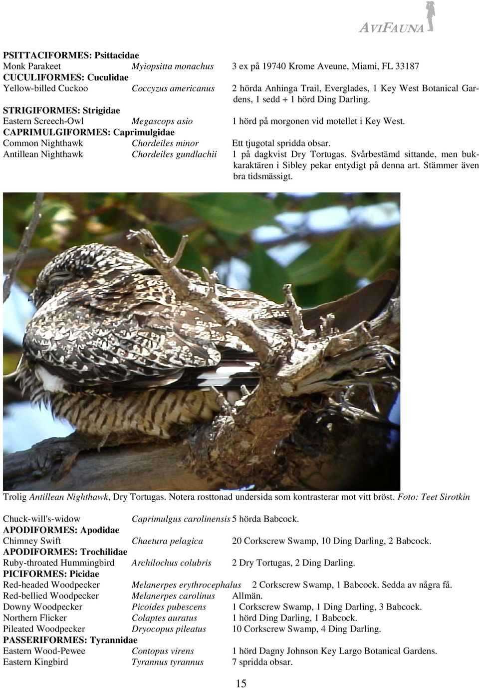 CAPRIMULGIFORMES: Caprimulgidae Common Nighthawk Chordeiles minor Ett tjugotal spridda obsar. Antillean Nighthawk Chordeiles gundlachii 1 på dagkvist Dry Tortugas.