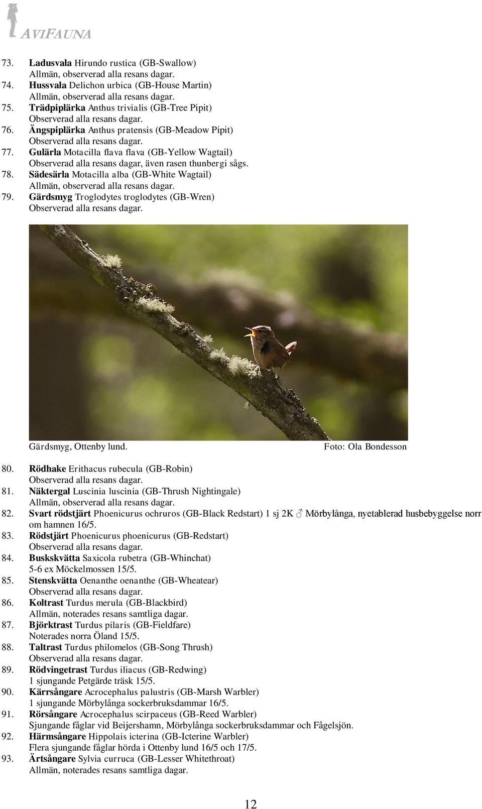 Gärdsmyg Troglodytes troglodytes (GB-Wren) Gärdsmyg, Ottenby lund. 80. Rödhake Erithacus rubecula (GB-Robin) 81. Näktergal Luscinia luscinia (GB-Thrush Nightingale) 82.