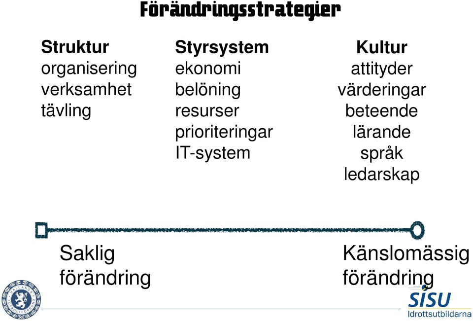 prioriteringar IT-system Kultur attityder värderingar