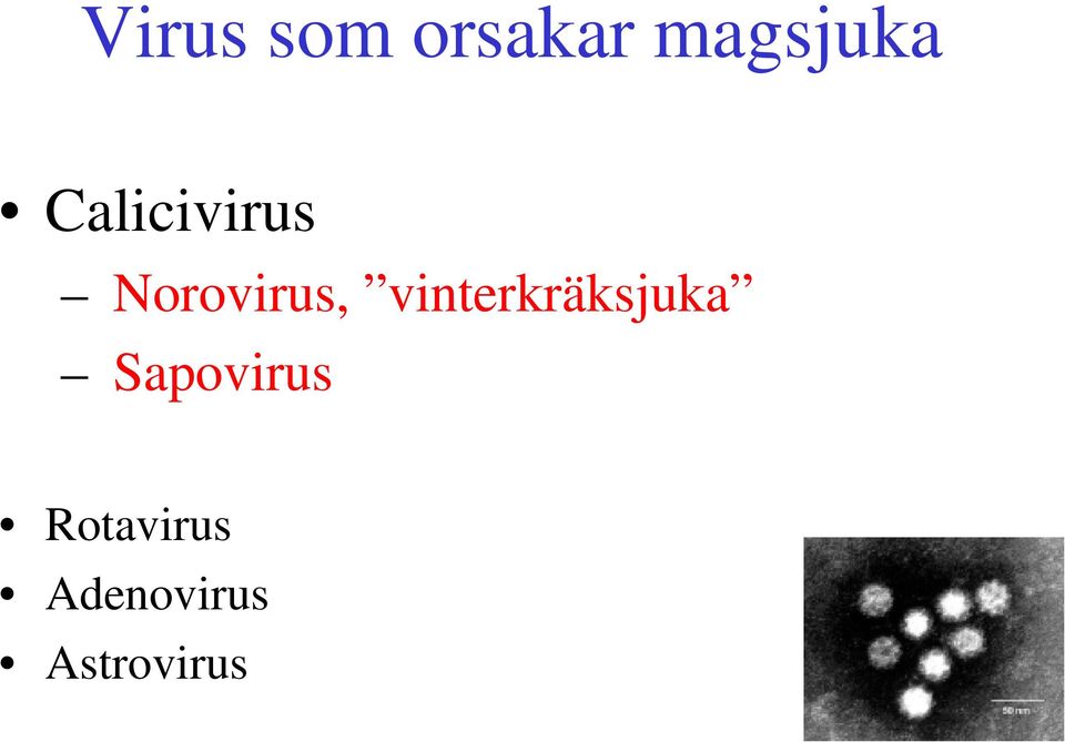vinterkräksjuka Sapovirus