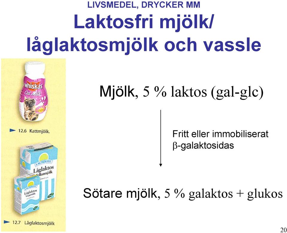 laktos (gal-glc) Fritt eller immobiliserat