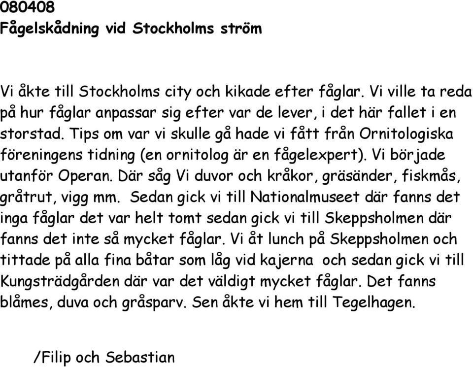 Där såg Vi duvor och kråkor, gräsänder, fiskmås, gråtrut, vigg mm.