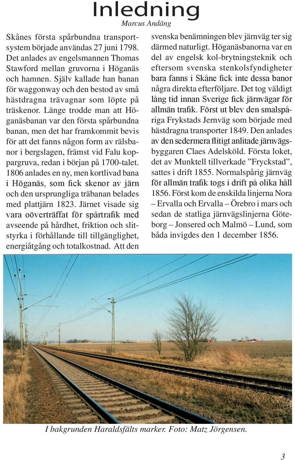 Länge trodde man att Höganäsbanan var den första spårbundna banan, men det har framkommit bevis för att det fanns någon form av rälsbanor i bergslagen, främst vid Falu koppargruva, redan i början på
