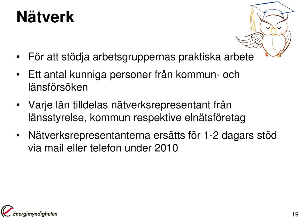 nätverksrepresentant från länsstyrelse, kommun respektive elnätsföretag