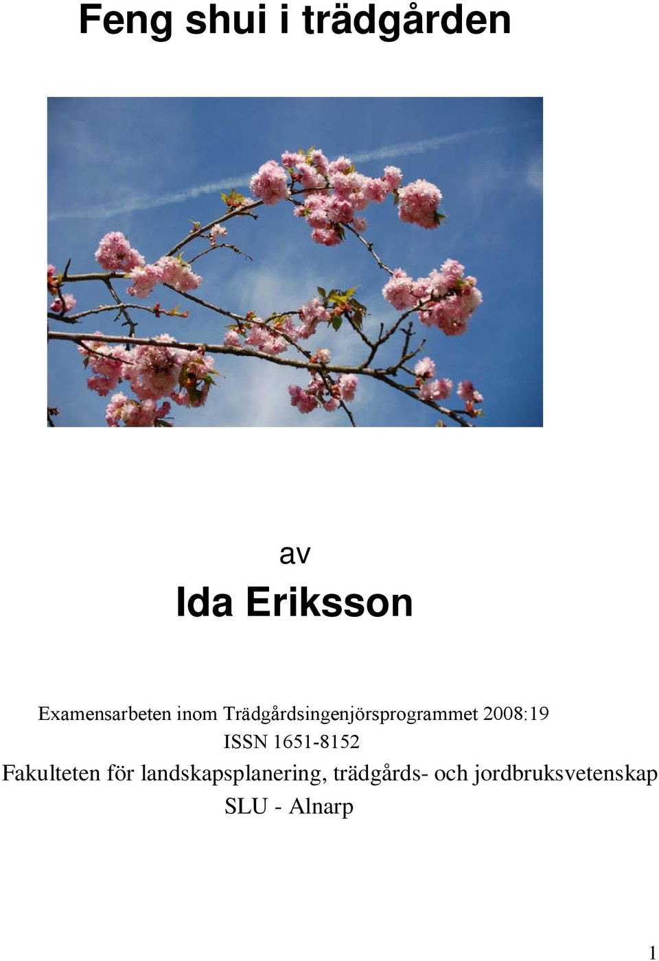 2008:19 ISSN 1651-8152 Fakulteten för