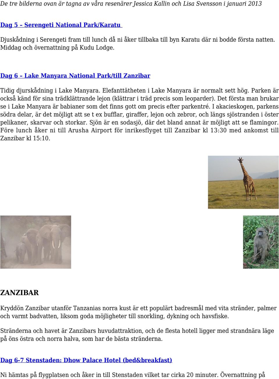 Elefanttätheten i Lake Manyara är normalt sett hög. Parken är också känd för sina trädklättrande lejon (klättrar i träd precis som leoparder).