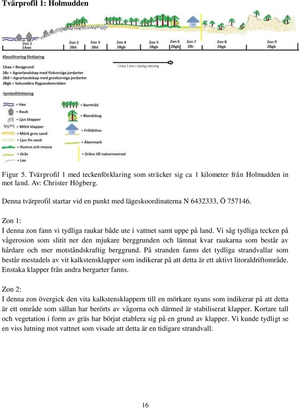 Vi såg tydliga tecken på vågerosion som slitit ner den mjukare berggrunden och lämnat kvar raukarna som består av hårdare och mer motståndskraftig berggrund.