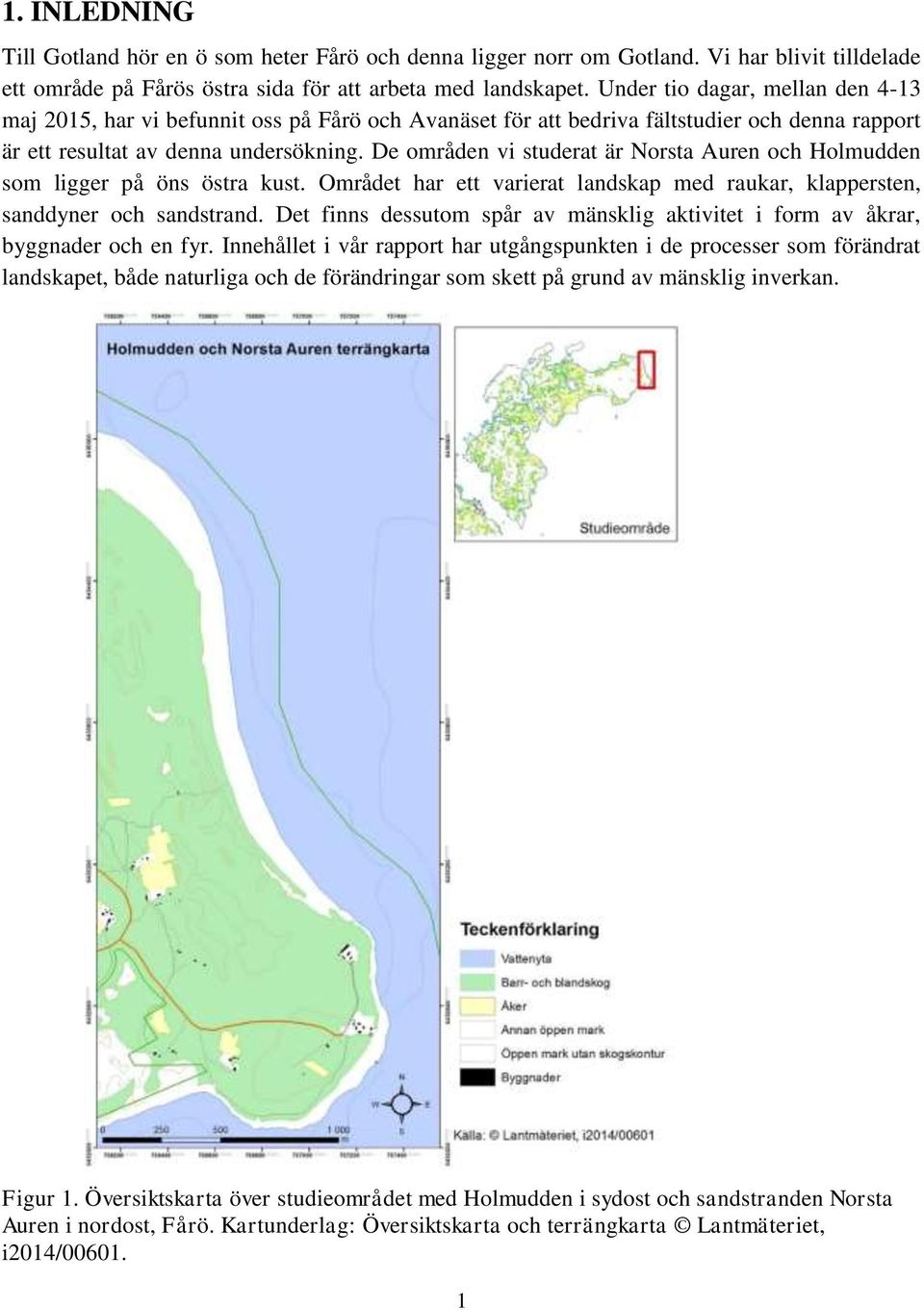 De områden vi studerat är Norsta Auren och Holmudden som ligger på öns östra kust. Området har ett varierat landskap med raukar, klappersten, sanddyner och sandstrand.