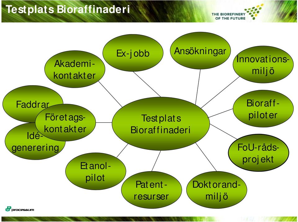 Bioraffinaderi Doktorand- miljö Patentresurser