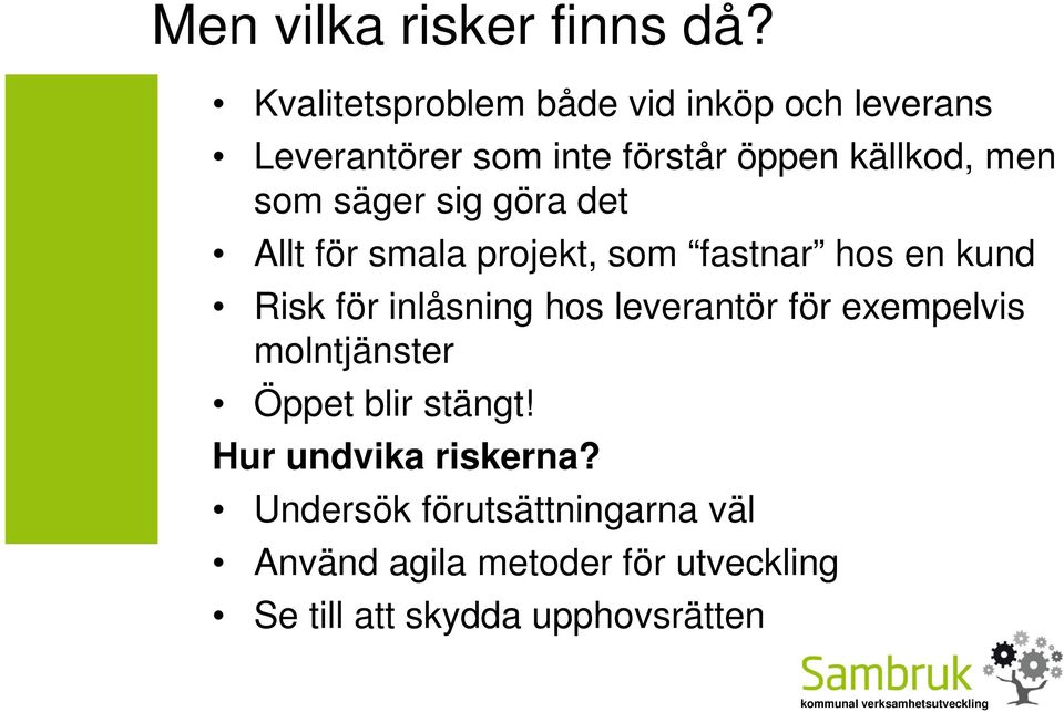 säger sig göra det Allt för smala projekt, som fastnar hos en kund Risk för inlåsning hos