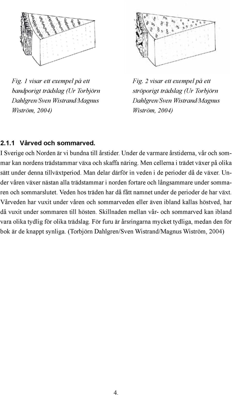 Under de varmare årstiderna, vår och sommar kan nordens trädstammar växa och skaffa näring. Men cellerna i trädet växer på olika sätt under denna tillväxtperiod.