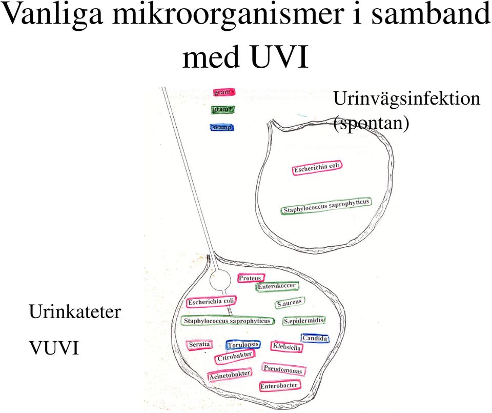 samband med UVI