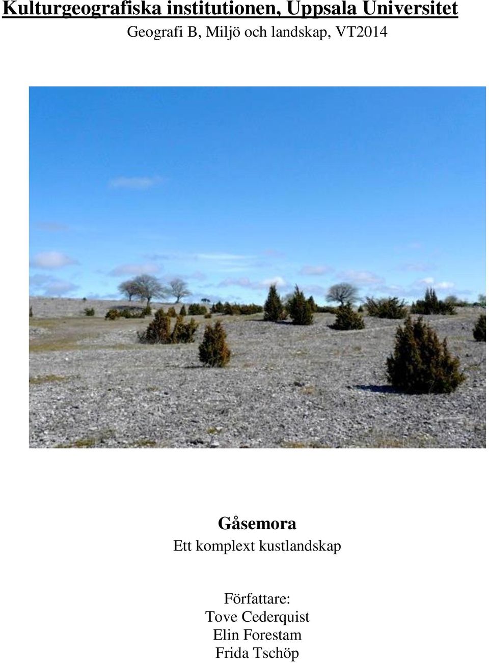 VT2014 Gåsemora Ett komplext kustlandskap