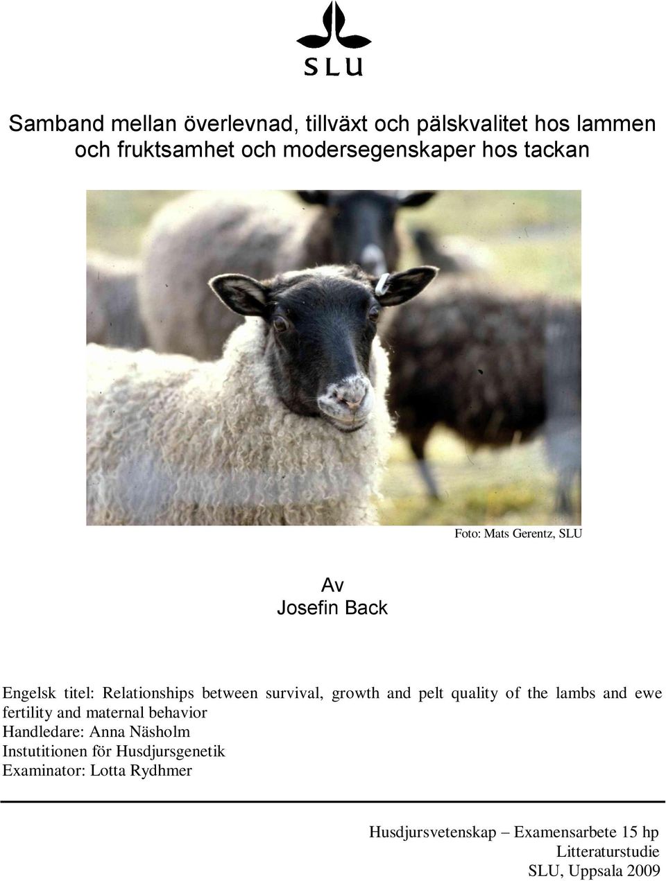 pelt quality of the lambs and ewe fertility and maternal behavior Handledare: Anna Näsholm Instutitionen för