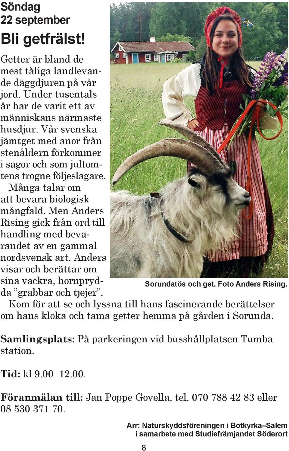 Men Anders Rising gick från ord till handling med bevarandet av en gammal nordsvensk art. Anders visar och berät tar om sina vackra, hornprydda grabbar och tjejer.