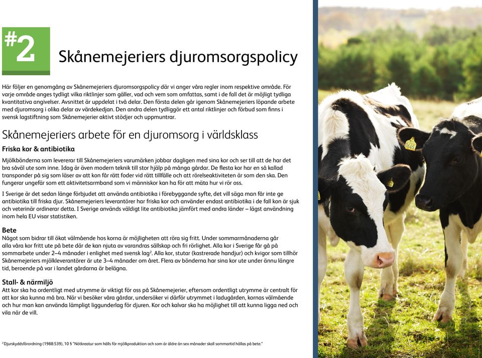 Den första delen går igenom Skånemejeriers löpande arbete med djuromsorg i olika delar av värdekedjan.