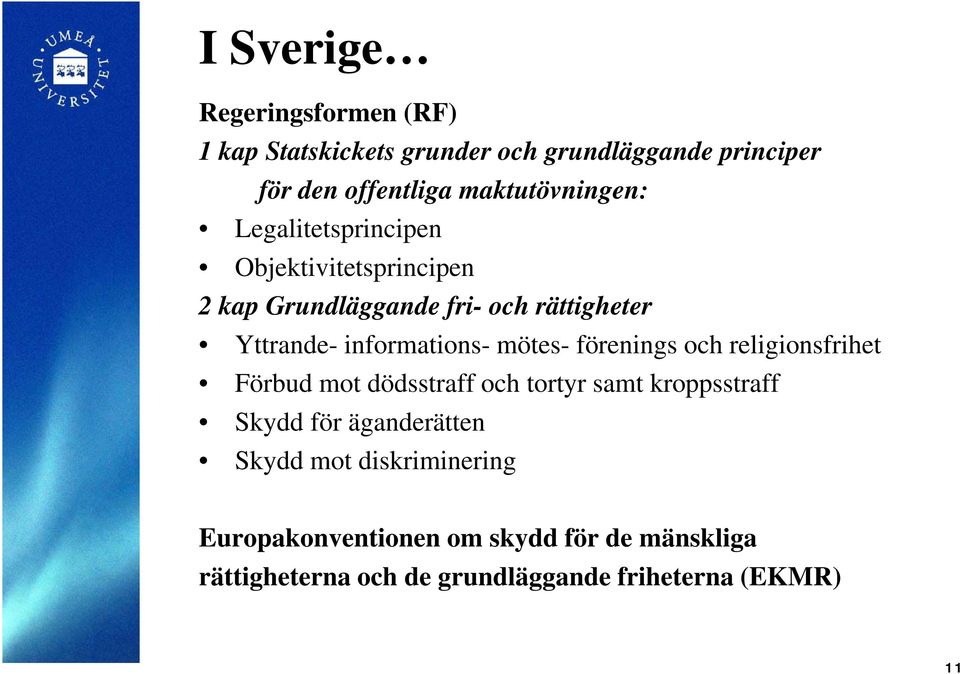 informations- mötes- förenings och religionsfrihet Förbud mot dödsstraff och tortyr samt kroppsstraff Skydd för