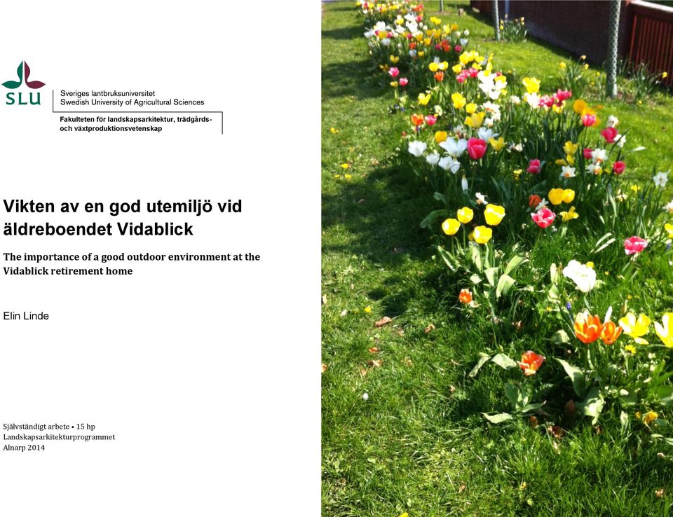 Vidablick The importance of a good outdoor environment at the
