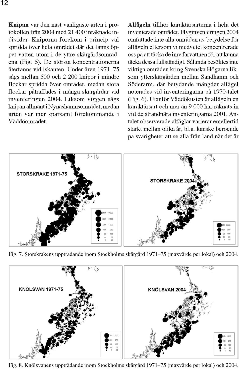 Under åren 1971 75 sågs mellan 500 och 2 200 knipor i mindre flockar spridda över området, medan stora flockar påträffades i många skärgårdar vid inventeringen 2004.