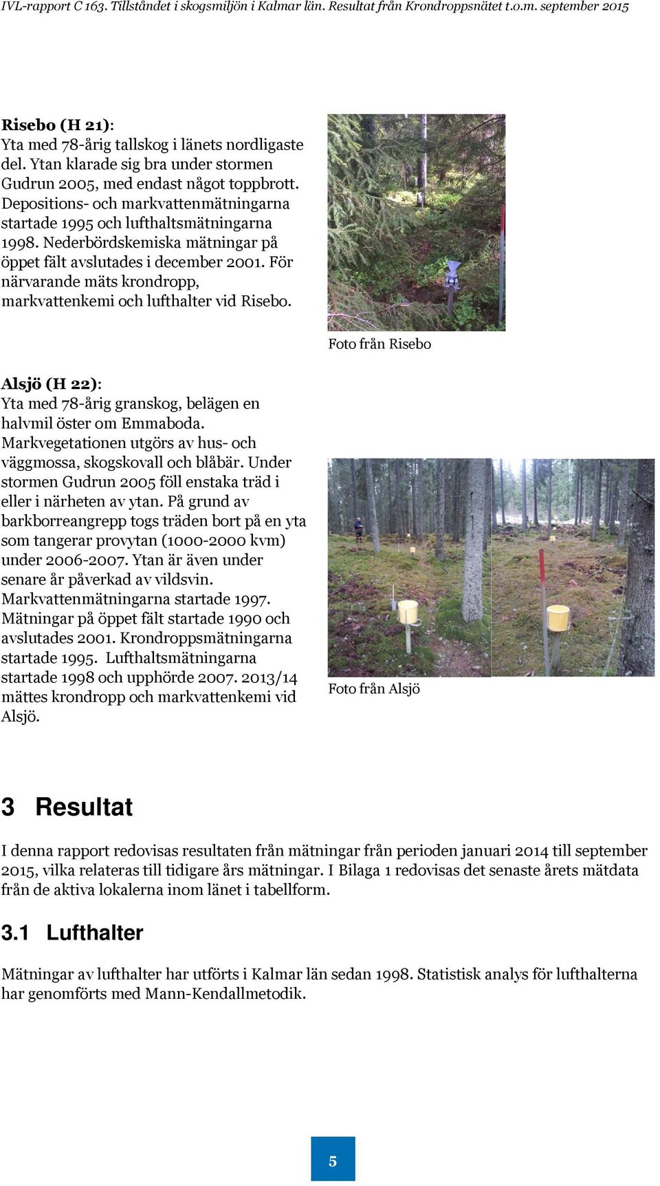För närvarande mäts krondropp, markvattenkemi och lufthalter vid Risebo. Foto från Risebo Alsjö (H 22): Yta med 78-årig granskog, belägen en halvmil öster om Emmaboda.