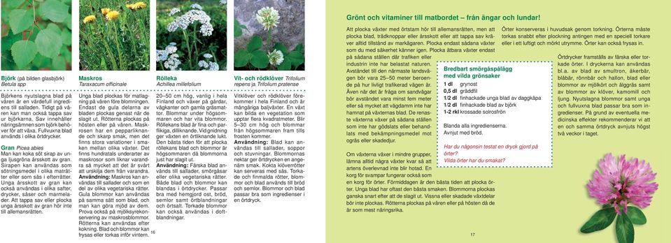 Gran Picea abies Man kan koka söt sirap av unga ljusgröna årsskott av gran. Sirapen kan användas som sötningsmedel i olika maträtter eller som sås i efterrätter.