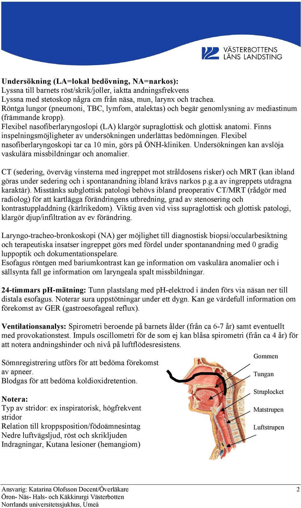 Finns inspelningsmöjligheter av undersökningen underlättas bedömningen. Flexibel nasofiberlaryngoskopi tar ca 10 min, görs på ÖNH-kliniken.