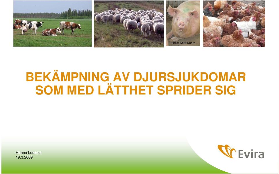 DJURSJUKDOMAR SOM