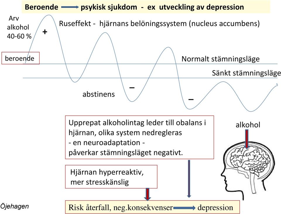 alkoholintag leder till obalans i hjärnan, olika system nedregleras - en neuroadaptation - påverkar
