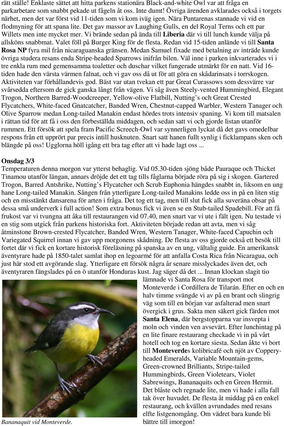 Det gav massor av Laughing Gulls, en del Royal Terns och ett par Willets men inte mycket mer. Vi brände sedan på ända till Liberia där vi till lunch kunde välja på allsköns snabbmat.