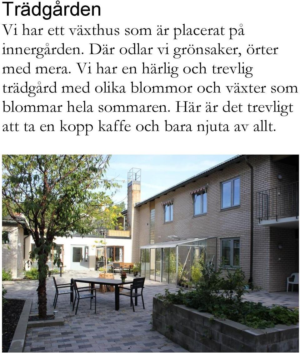 Vi har en härlig och trevlig trädgård med olika blommor och