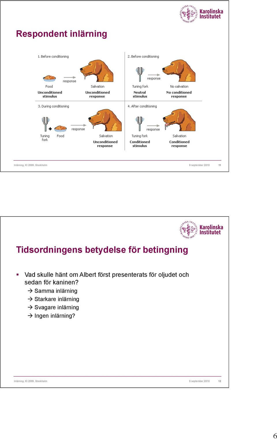 Vad skulle hänt om Albert först presenterats för oljudet och sedan för kaninen?