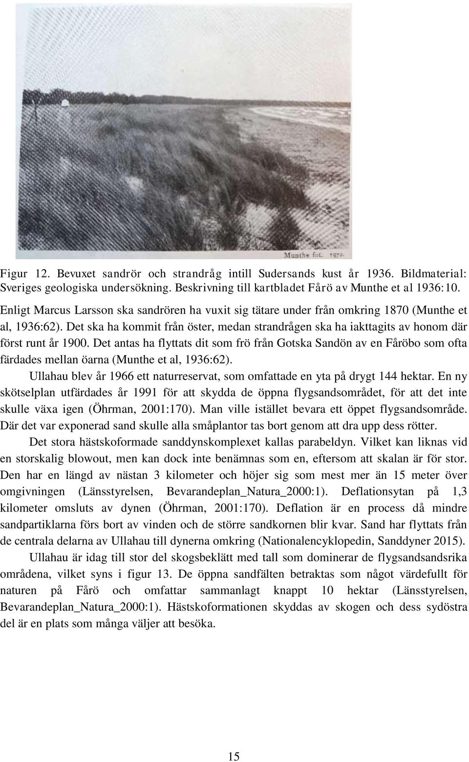 Det ska ha kommit från öster, medan strandrågen ska ha iakttagits av honom där först runt år 1900.