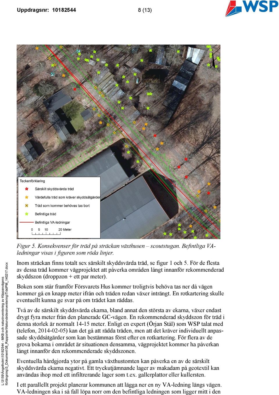 För de flesta av dessa träd kommer vägprojektet att påverka områden långt innanför rekommenderad skyddszon (droppzon + ett par meter).