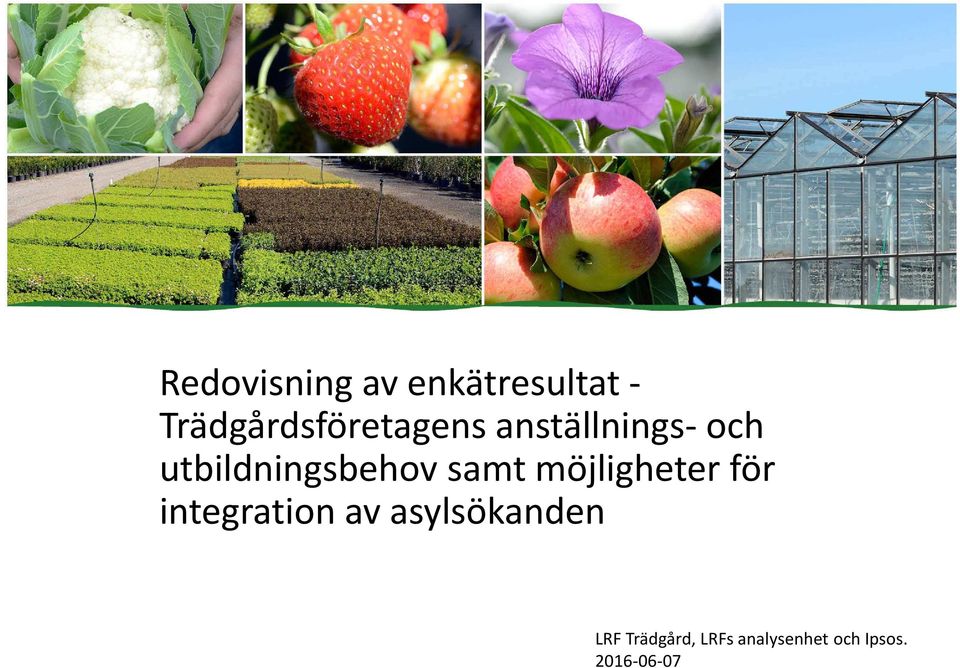 utbildningsbehov samt möjligheter för