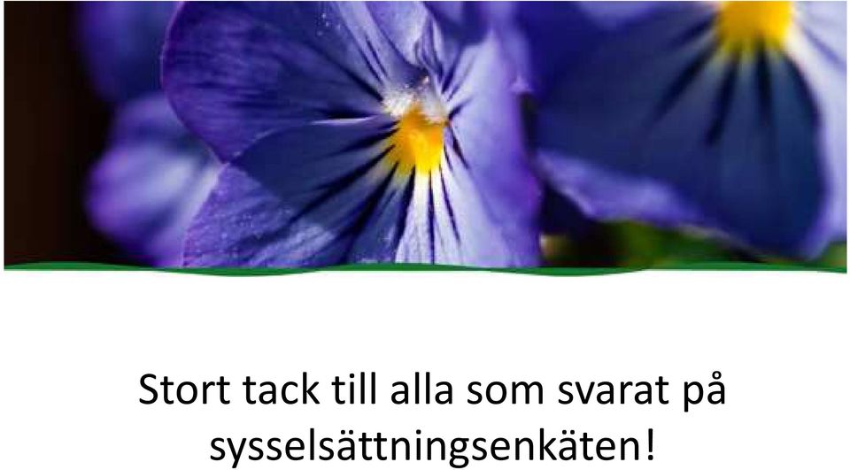 svarat på
